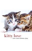 Kitty Love: How Cute Kittens Play