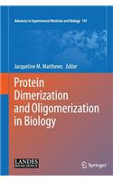 Protein Dimerization and Oligomerization in Biology
