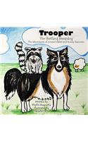 Trooper the Shetland Sheepdog