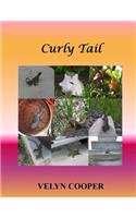 Curly Tail