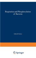 Respiration and Phosphorylation of Bacteria