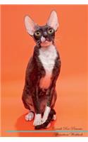 Cornish Rex Affirmations Workbook Cornish Rex Presents
