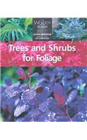 Trees and Shrubs for Foliage