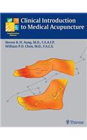 Clinical Introduction to Medical Acupuncture