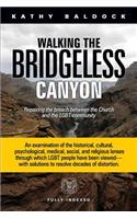 Walking the Bridgeless Canyon: Repairing the Breach Between the Church and the LGBT Community