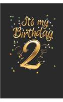 It's My Birthday 2