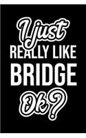I Just Really Like Bridge Ok?