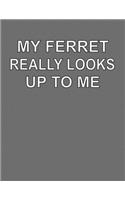 My Ferret Really Looks Up To Me
