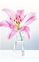 Lily Notebook: 150 lined pages, softcover, 6" x 9"