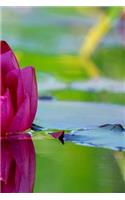 Water Lily Notebook