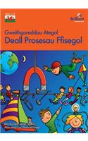 Deall Prosesau Ffisegol