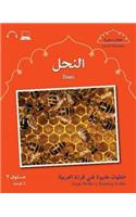 Small Wonders: Bees