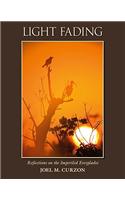 Light Fading: Reflections on the Imperiled Everglades