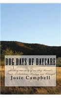 Dog days of Daycare