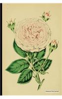 Botanical Print Journal