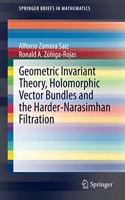 Geometric Invariant Theory, Holomorphic Vector Bundles and the Harder-Narasimhan Filtration: (SpringerBriefs in Mathematics)