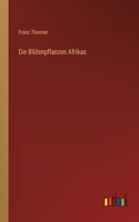 Blütenpflanzen Afrikas