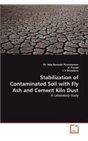 Stabilization of Contaminated Soil with Fly Ash and Cement Kiln Dust