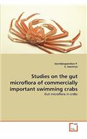 Studies on the gut microflora of commercially important swimming crabs