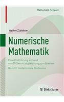 Numerische Mathematik: Eine Einführung Anhand Von Differentialgleichungsproblemen Band 2: Instationäre Probleme