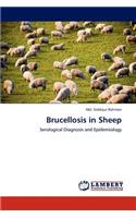 Brucellosis in Sheep