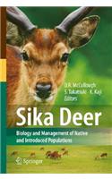 Sika Deer