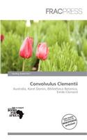 Convolvulus Clementii