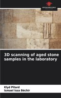3D scanning of aged stone samples in the laboratory