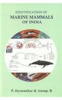Identification Of Marine Mammals Of India