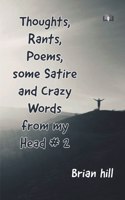 Thoughts, Rants, Poems, some Satire and Crazy Words from my Head #2