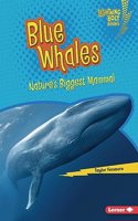 Blue Whales: Nature's Biggest Mammal