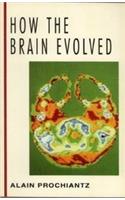 How the Brain Evolved