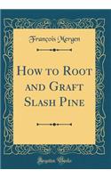 How to Root and Graft Slash Pine (Classic Reprint)