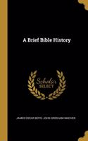 Brief Bible History