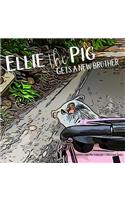 Ellie the Pig gets a new brother
