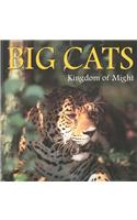 Big Cats