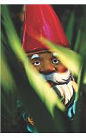 Garden Gnome Lovers Journal: Journal Notebook with blank lined pages for Gardeners & Garden Gnome Lovers