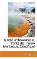 Bulletin Arch Ologique Du Comit Des Travaux Historiques Et Scientifiques: (French)