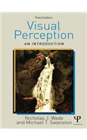 Visual Perception