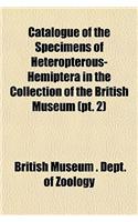 Catalogue of the Specimens of Heteropterous-Hemiptera in the Collection of the British Museum (PT. 2)