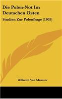 Die Polen-Not Im Deutschen Osten: Studien Zur Polenfrage (1903)
