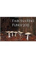 Fascinating Fungi 2018 2018