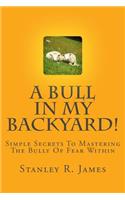 A Bull In My Backyard!
