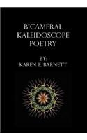 Bicameral Kaleidoscope Poetry