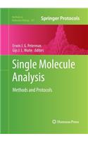 Single Molecule Analysis