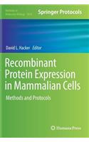 Recombinant Protein Expression in Mammalian Cells