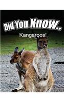 Kangaroo