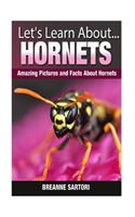 Hornets: Amazing Pictures and Facts about Hornets