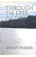 Through the Eyes of the Fallen