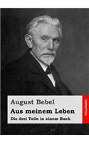 Aus meinem Leben: Die drei Teile in einem Buch
